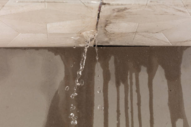 Professional Water Damage Repair technician working in Scurry, TX